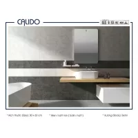 Gạch Á Mỹ 22.C.360.5385