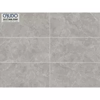 Gạch Á Mỹ 22.C.360.5385