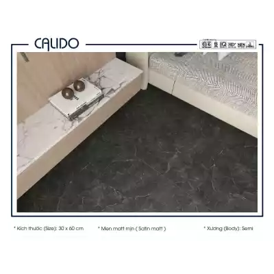 Gạch Á Mỹ 22.C.360.5386