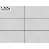 Gạch Á Mỹ 22.C.360.5387