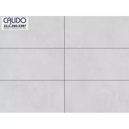 Gạch Á Mỹ 22.C.360.5387