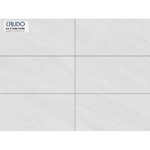 Gạch Á Mỹ 22.C.360.5596