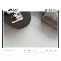 Gạch Á Mỹ 22.C.660.5182