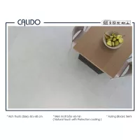 Gạch Á Mỹ 22.C.660.5182