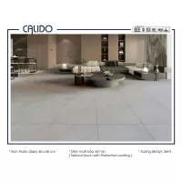 Gạch Á Mỹ 22.C.660.5183