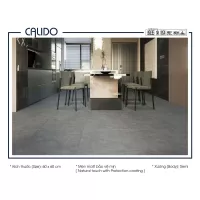 Gạch Á Mỹ 22.C.660.5184