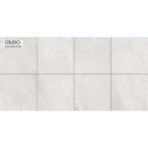 Gạch Á Mỹ 22.C.660.5191