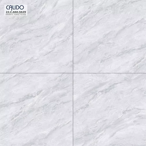 Gạch Á Mỹ 22.C.660.5629