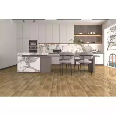 Gạch Á Mỹ 22.C.880.5848