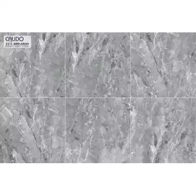 Gạch Á Mỹ 22.C.880.6820