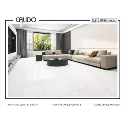 Gạch Á Mỹ 22.C.880.6823