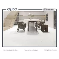 Gạch Á Mỹ 22.C.880.6823