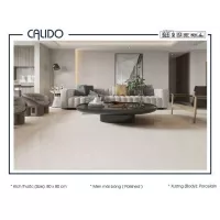 Gạch Á Mỹ 22.C.880.6824