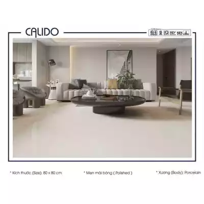 Gạch Á Mỹ 22.C.880.6824