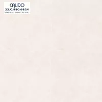 Gạch Á Mỹ 22.C.880.6824