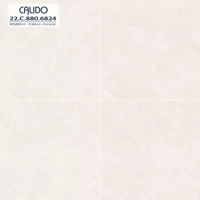 Gạch Á Mỹ 22.C.880.6824