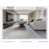 Gạch Á Mỹ 22.C.880.6825