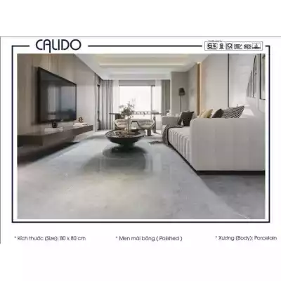 Gạch Á Mỹ 22.C.880.6825