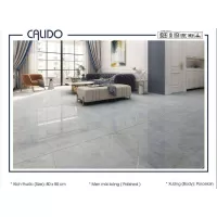 Gạch Á Mỹ 22.C.880.6825