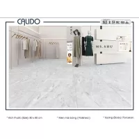 Gạch Á Mỹ 22.C.880.6827