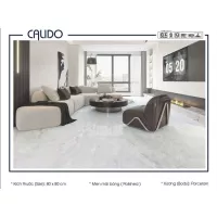 Gạch Á Mỹ 22.C.880.6827