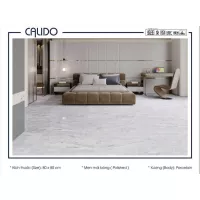 Gạch Á Mỹ 22.C.880.6827