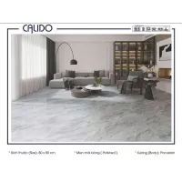 Gạch Á Mỹ 22.C.880.8046