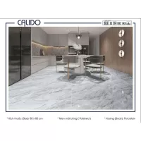 Gạch Á Mỹ 22.C.880.8046