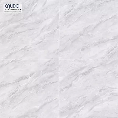 Gạch Á Mỹ 22.C.880.8048