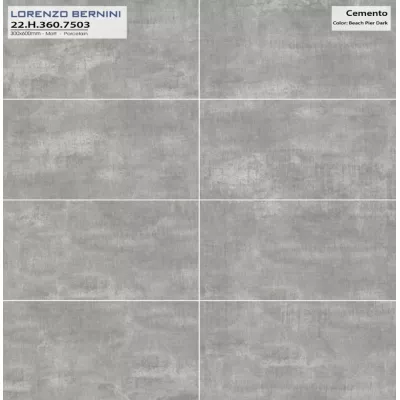 Gạch Á Mỹ 22.H.360.7503