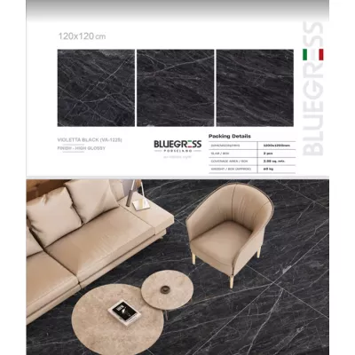 Gạch Ấn Độ HLA120042VA