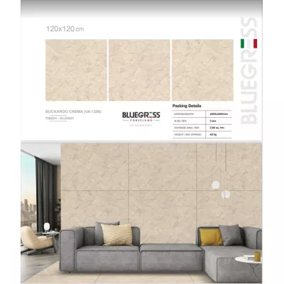 Gạch Ấn Độ HLA120043VA