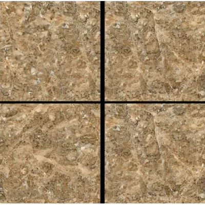 Gạch Ấn Độ HLA66003VA