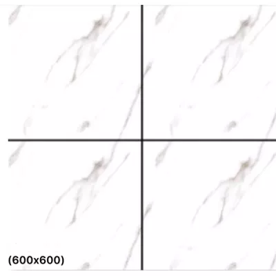 Gạch Ấn Độ HLA66046VA