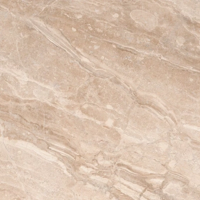 Gạch Ấn Độ HLA88005IM