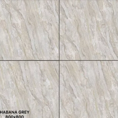 Gạch Ấn Độ HLA88067VA