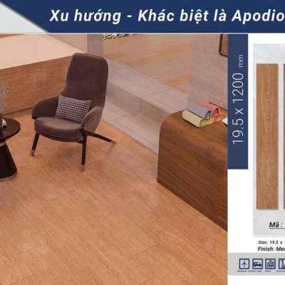 Gạch Apodio 11332202