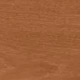 Gạch Apodio 11334207