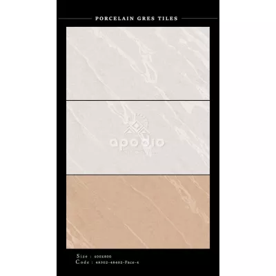 Gạch Apodio 48302-48402