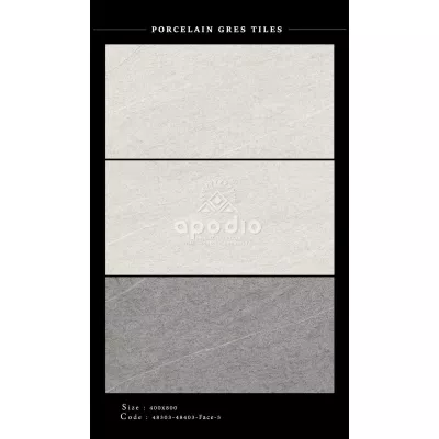 Gạch Apodio 48403-48303