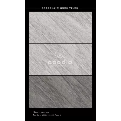 Gạch Apodio 48406-48306