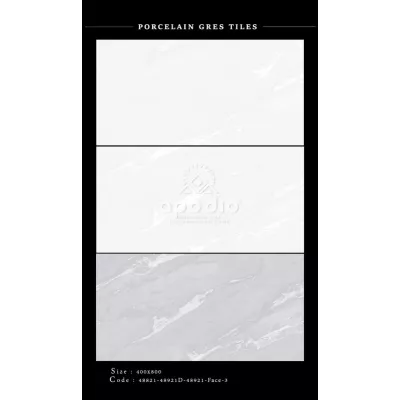 Gạch Apodio 48407-48307