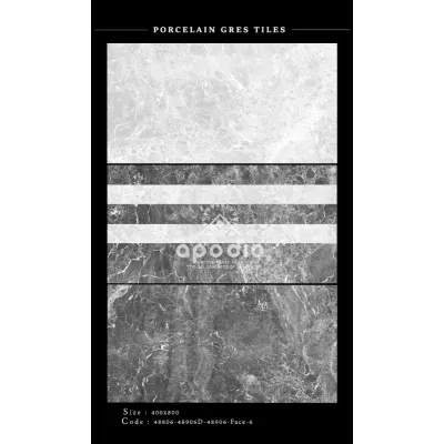 Gạch Apodio 48806-48906