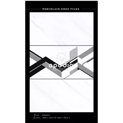 Gạch Apodio 48811-48911-48911D