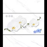 Gạch Apodio 48814-48914D