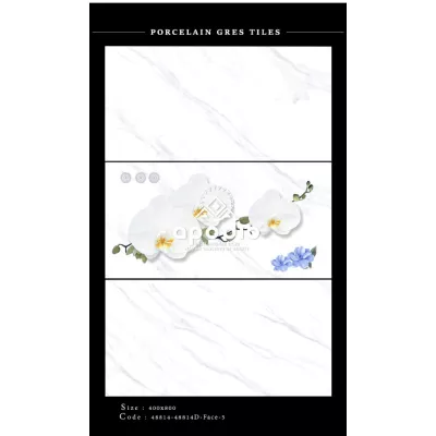 Gạch Apodio 48814-48914D