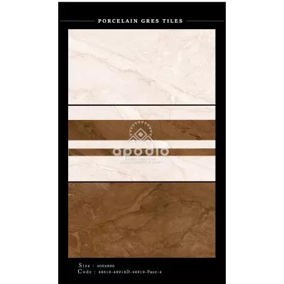 Gạch Apodio 48818-48918-48918D