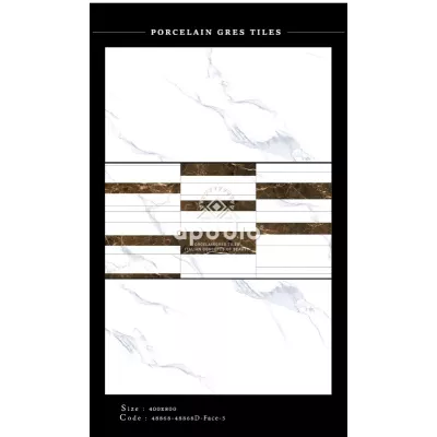Gạch Apodio 48868-48868D