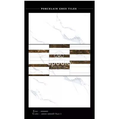 Gạch Apodio 48868-48968D