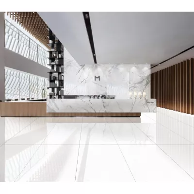 Gạch Apodio 61181001